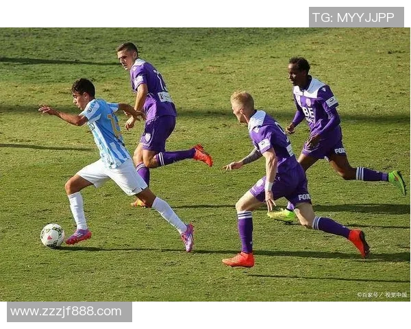 塞阿拉主场迎战博塔佛全力争胜力争积分榜上升