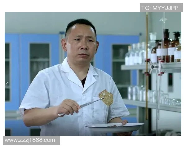 孙铭徽：从青涩新星到篮球场上的领军人物之路