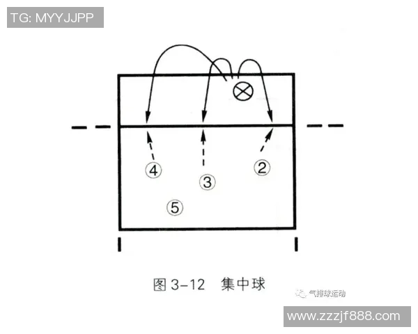 北京排球队快攻战术解析与深度剖析排球竞技的魅力与挑战MBA 北京排球队快攻战术解析与深度剖析排球竞技的魅力与挑战MBA