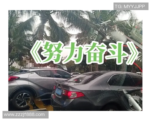 景菡一的成长之路：从平凡到卓越的奋斗历程与人生感悟