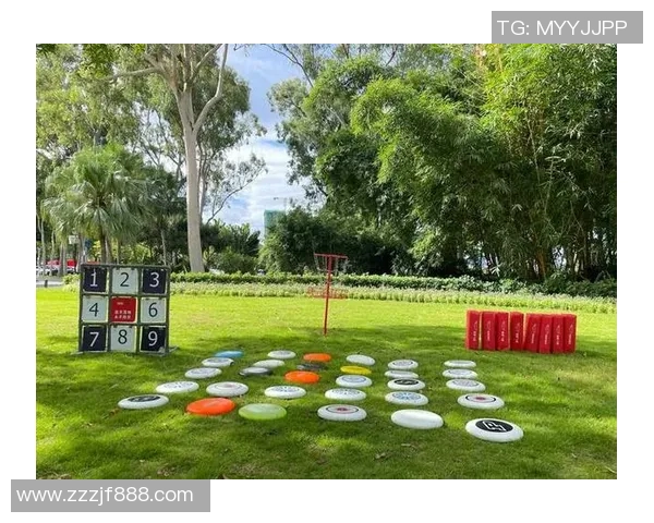 飞盘运动的魅力与挑战：深入探讨北京飞盘队的团队意识与发展潜力MBA